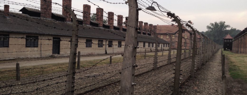 Auschwitz fence